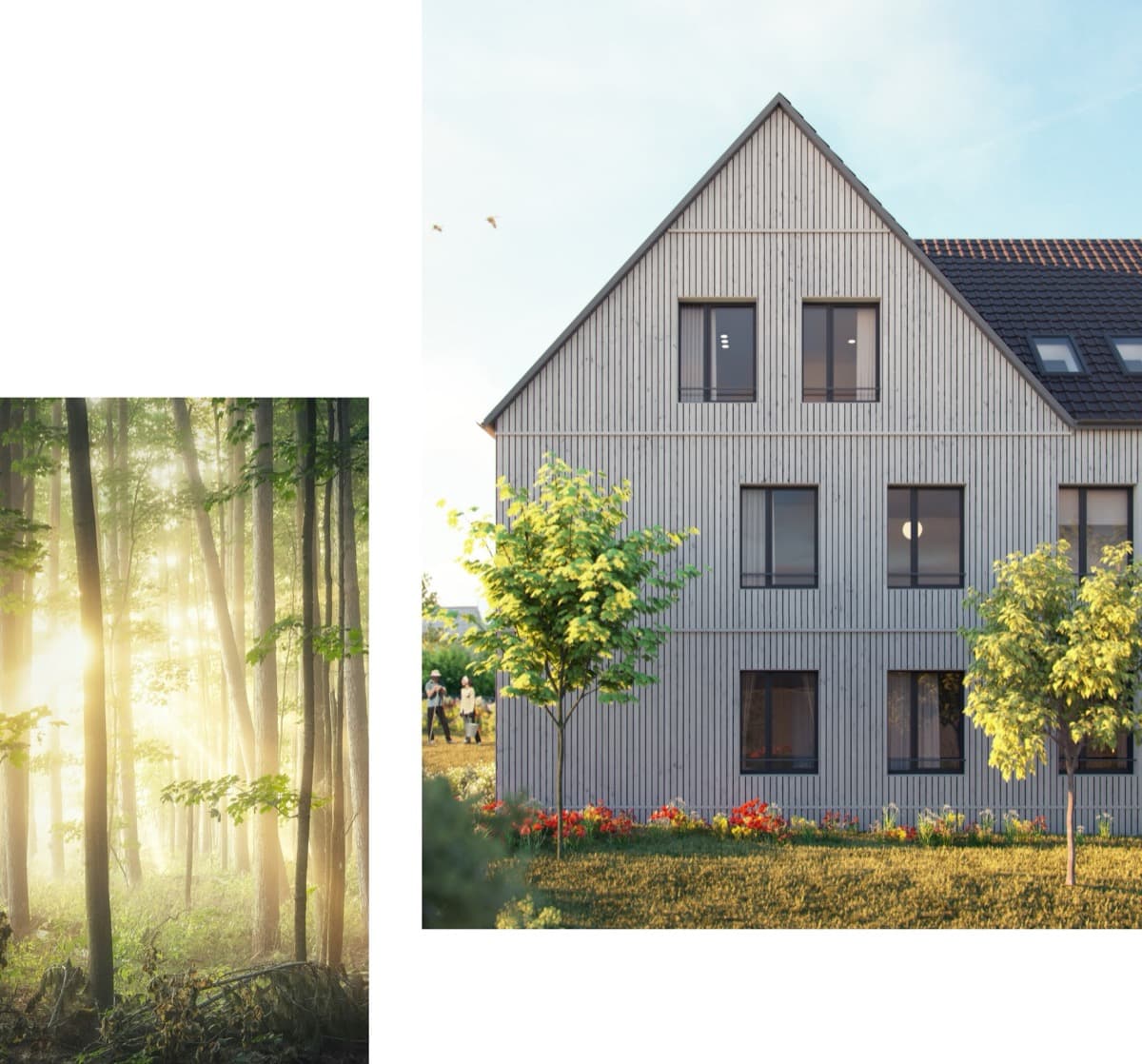 Nachhaltige Holzbauweise Schlossgrund Rödelsee